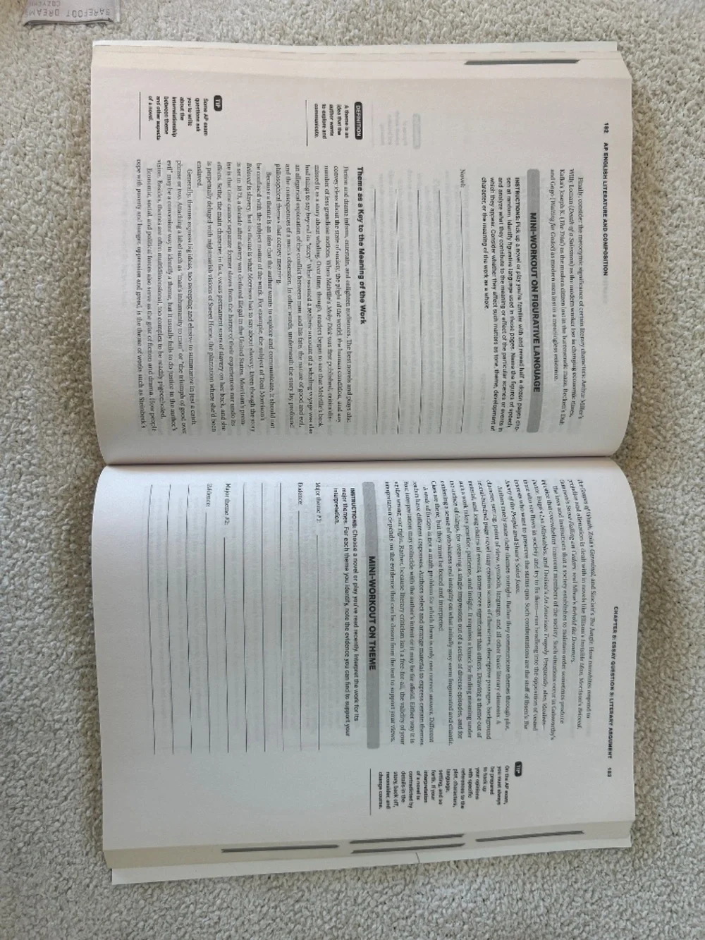 Barton’s AP English Literature and Composition Study Book